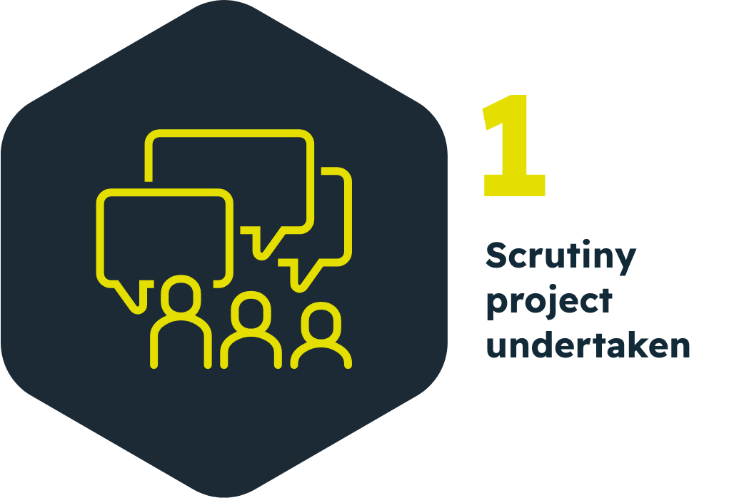scrutiny3